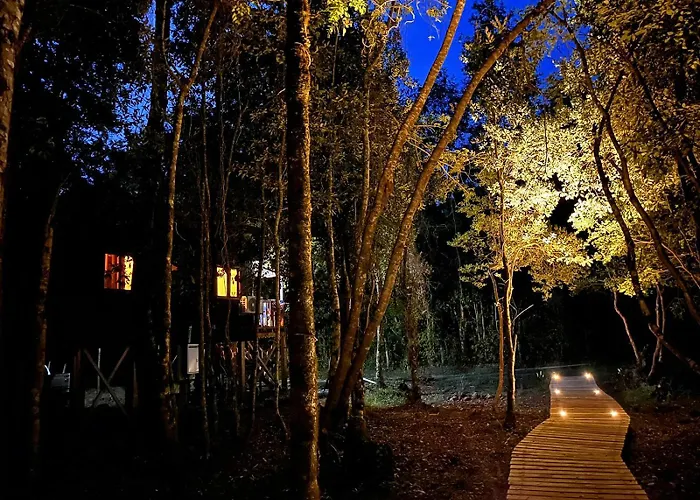 Cabanas Los Glaciares